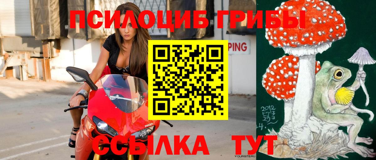 Саки  Псилоцибиновые грибы GOLDEN TEACHER  Галлюциногенные грибы Cubensis  Вход с VPN 